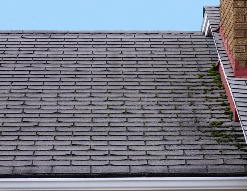 Finding a Reputed Roofing Maintenance Service with Ease 